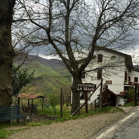 Albergo Ristorante La Selva Orsigna Exterior photo